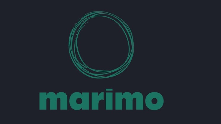 ثغرة خطيرة في Marimo تُستغل خلال ساعات من الكشف