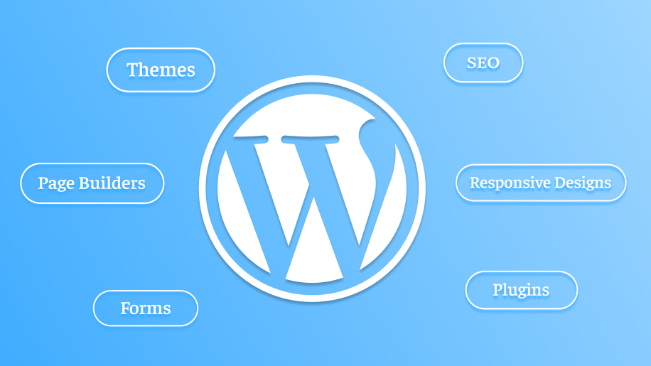 كيف حوّل المهاجمون مواقع WordPress إلى منصات توزيع برمجيات خبيثة عبر البلوكشين؟