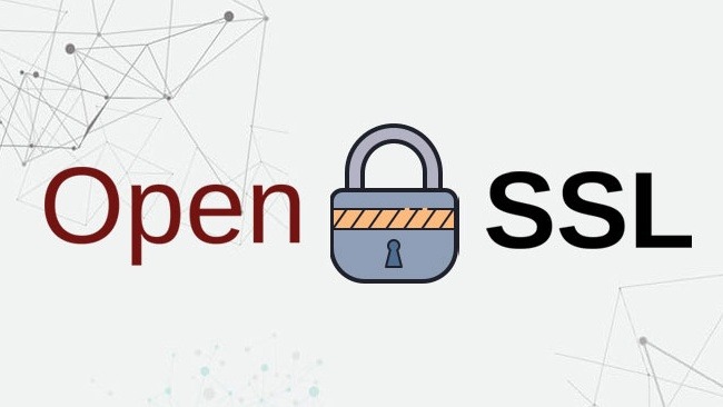 ثغرة HollowByte في OpenSSL: 11 بايت تكفي لتجميد ذاكرة الخوادم